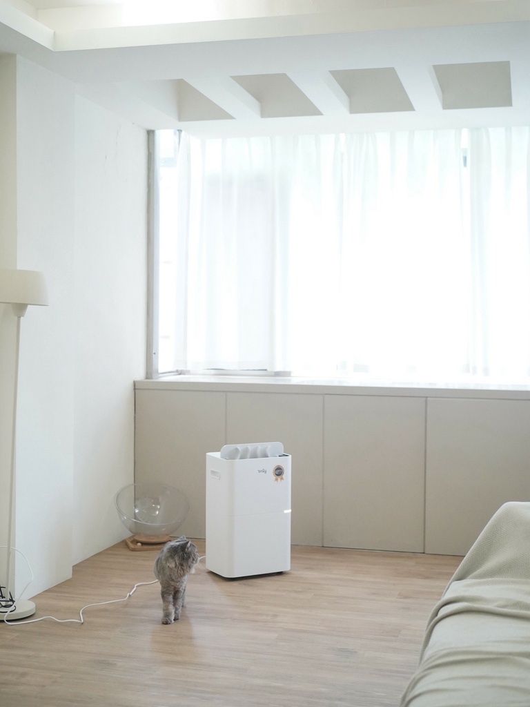 only 小午郎 12 公升 HEPA 空氣清淨除濕機 OH12-Y41PN養寵物智慧除濕機 (23).jpg only 小午郎 12 公升 HEPA 空氣清淨除濕機 OH12-Y41PN養寵物智慧除濕機 (23).jpg