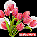 welcome455X385R1.gif