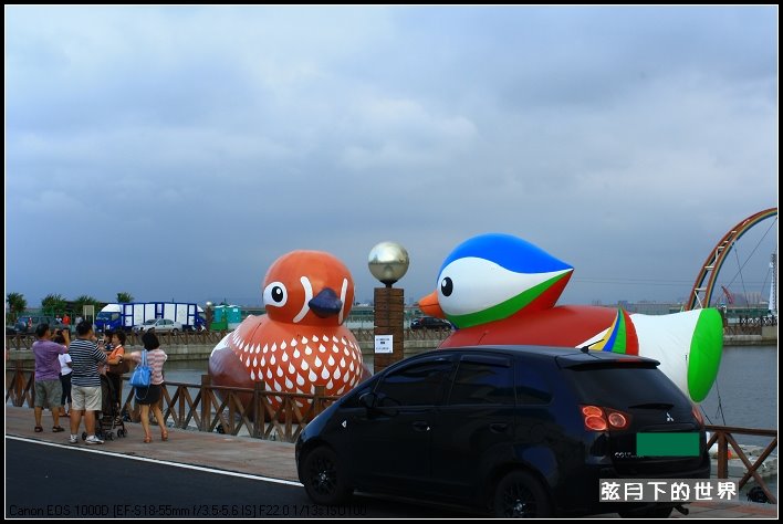 禽流感之鴛鴦戲水_14