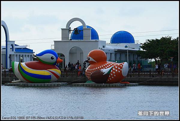 禽流感之鴛鴦戲水_18