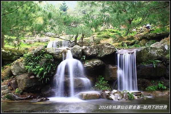 2014-鬱金香+流水_07