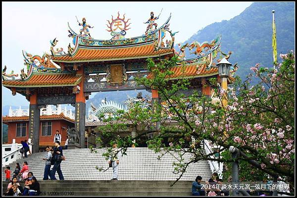 2014淡水天元宮賞櫻_02