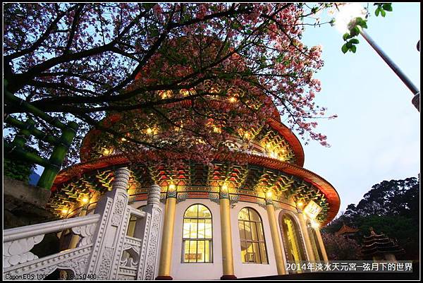 2014淡水天元宮賞櫻_77