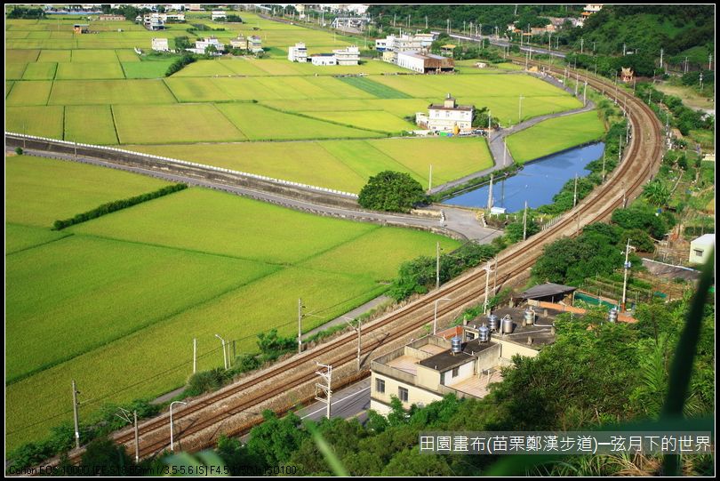 田園畫布~苗栗鄭漢步道初訪(附景點指示圖)_12