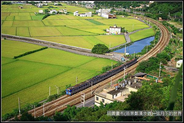 田園畫布~苗栗鄭漢步道初訪(附景點指示圖)_16