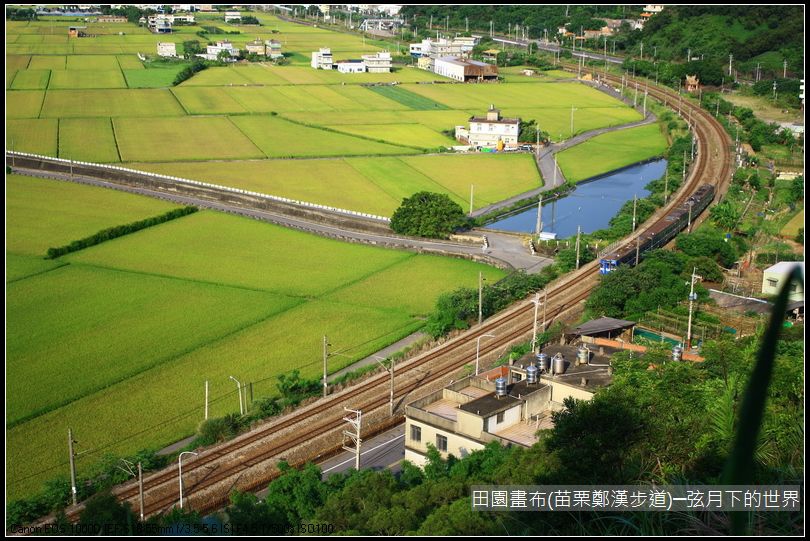 田園畫布~苗栗鄭漢步道初訪(附景點指示圖)_21