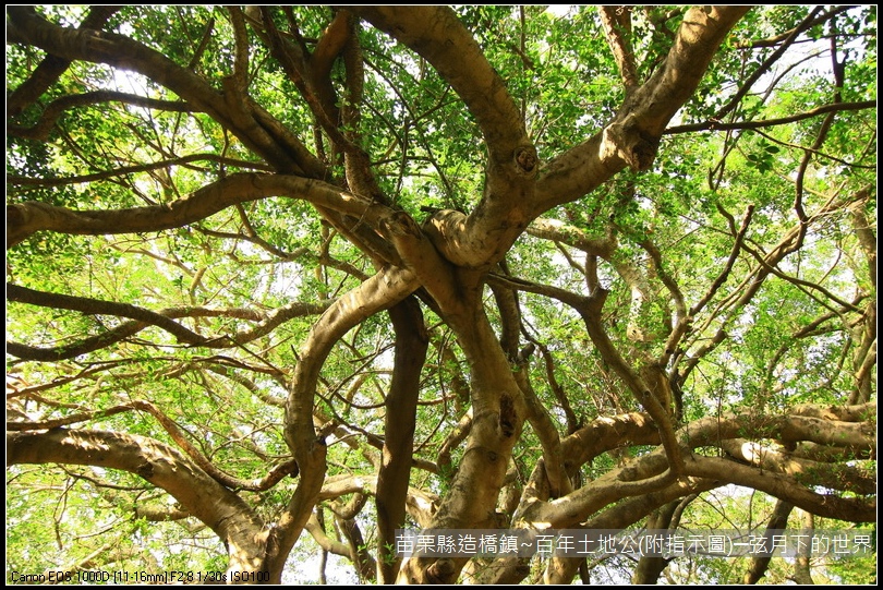 苗栗縣後龍鎮百年土地公(附指示圖)_24