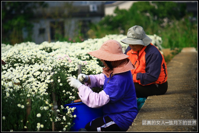 認真的女人_15.jpg