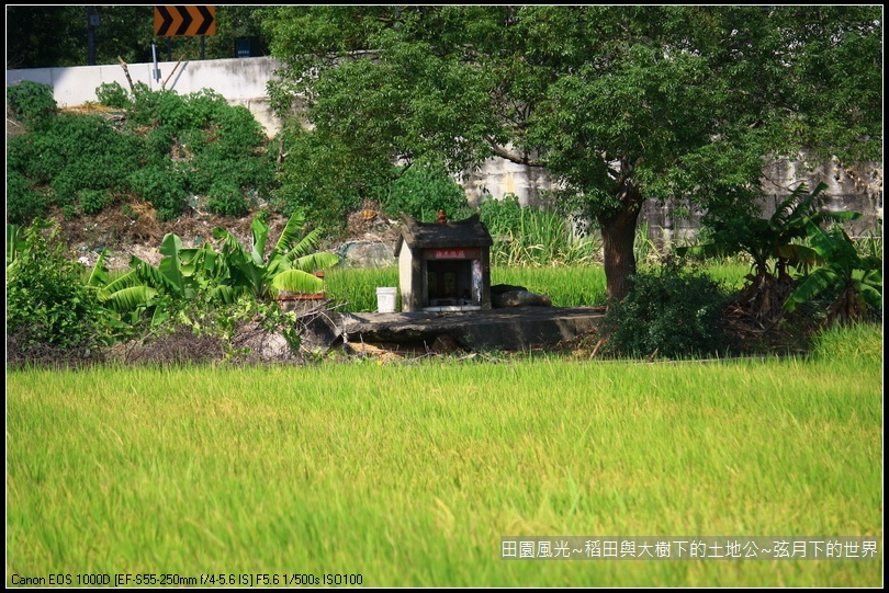 田園風光~稻田與大樹下土地公廟_12.jpg