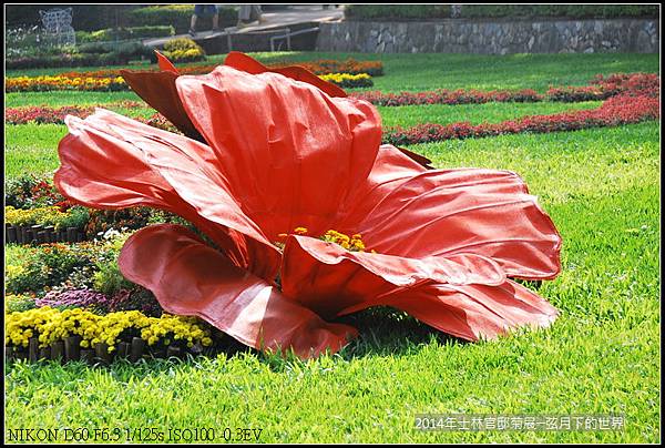 2014年士林官邸菊花展_27