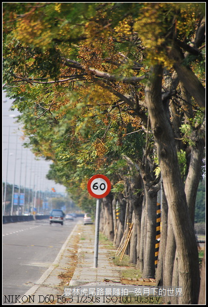 雲林縣虎尾鎮路景隨拍_06.jpg