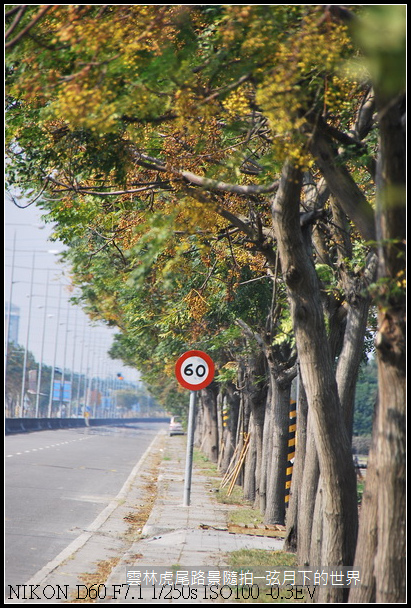 雲林縣虎尾鎮路景隨拍_09.jpg