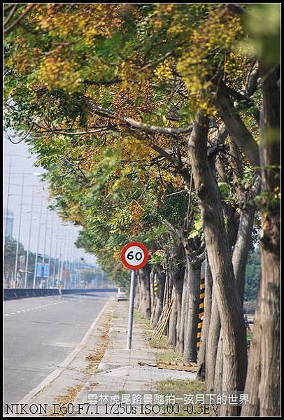 雲林縣虎尾鎮路景隨拍_09.jpg