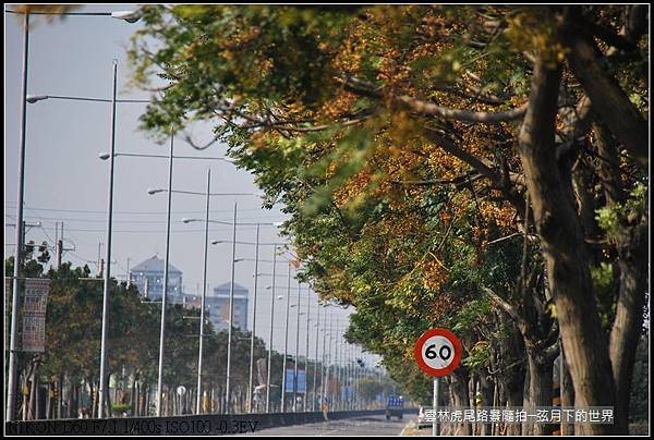 雲林縣虎尾鎮路景隨拍_14.jpg