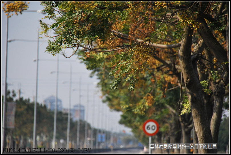 雲林縣虎尾鎮路景隨拍_15.jpg