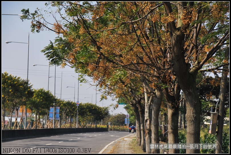 雲林縣虎尾鎮路景隨拍_17.jpg