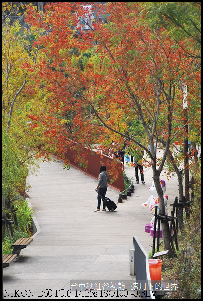 台中~秋紅谷初訪_26