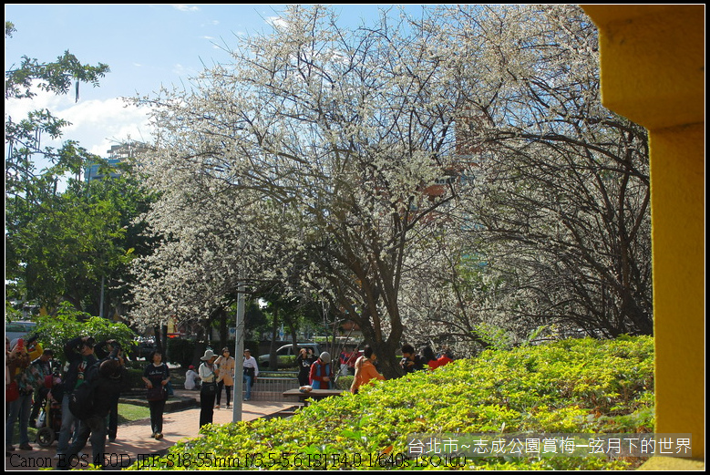 志成公園初賞梅_050