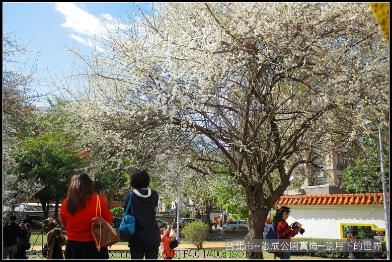 志成公園初賞梅_053