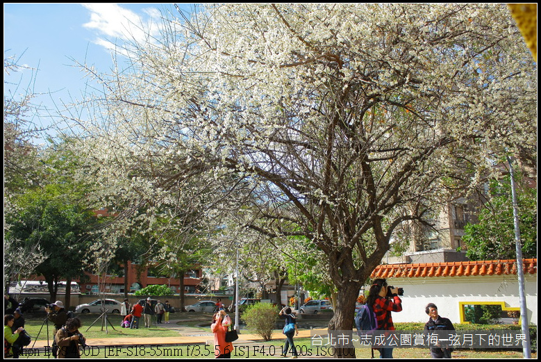 志成公園初賞梅_055