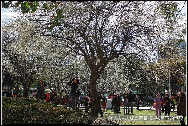 志成公園初賞梅_056