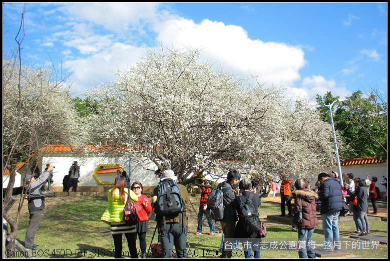 志成公園初賞梅_061