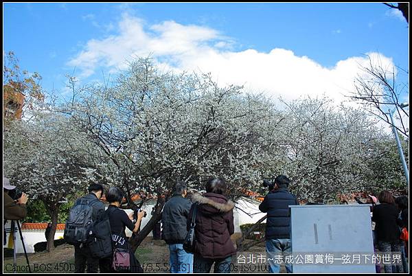 志成公園初賞梅_063
