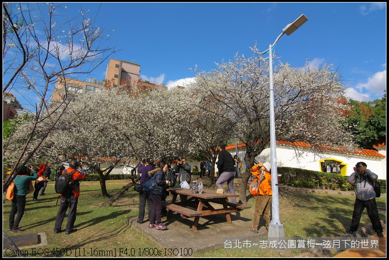 志成公園初賞梅_071