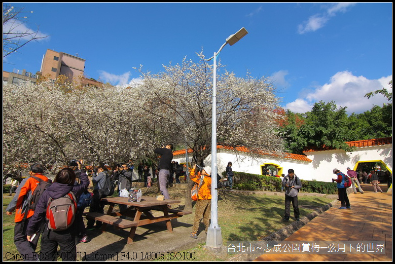 志成公園初賞梅_070