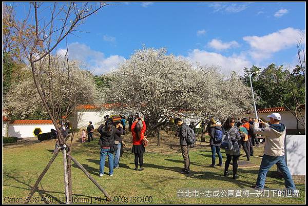 志成公園初賞梅_072