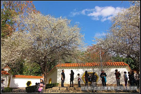 志成公園初賞梅_074