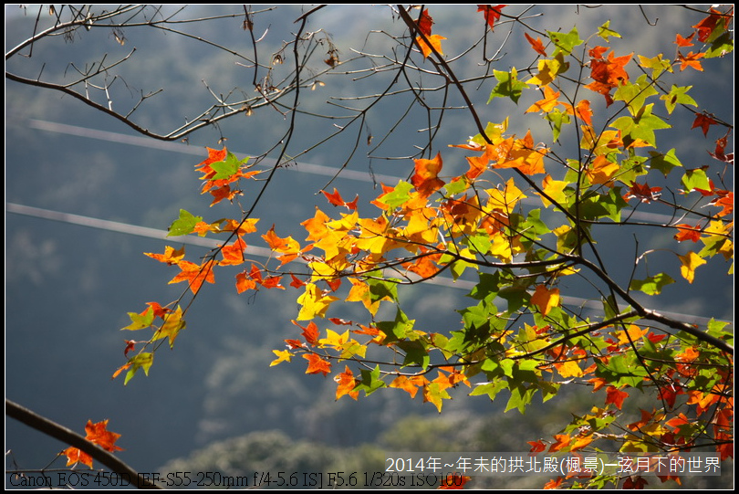 2014年~年未的拱北殿(楓景)_08