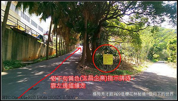 楊梅區秀才路769巷櫻花林秘境(附指示圖)_01.jpg