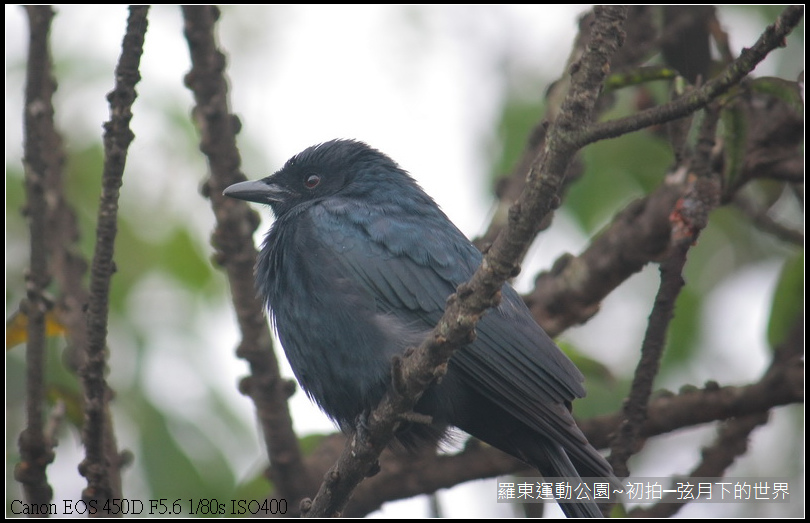 2015年羅東運動公園~公園初訪_08