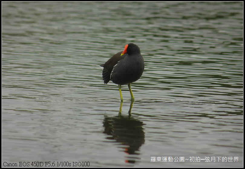 2015年羅東運動公園~公園初訪_15