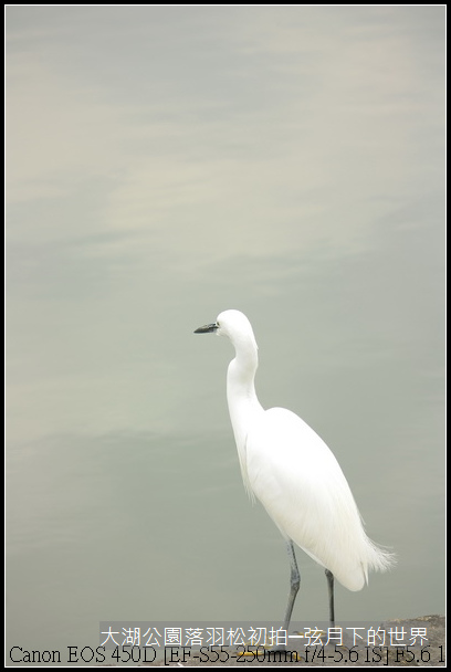 2015年1月5日大湖公園_06.JPG