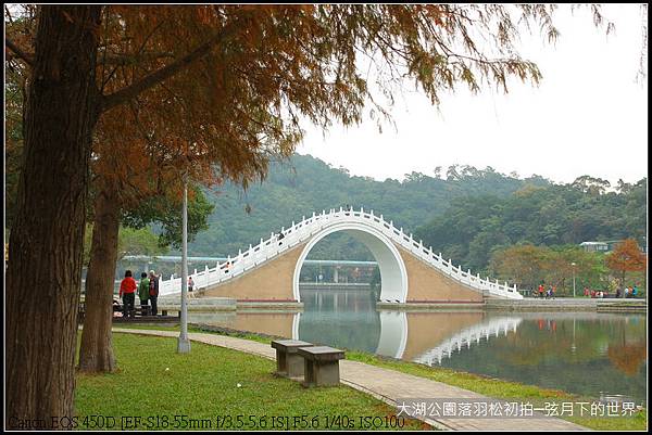 2015年1月5日大湖公園_16.JPG