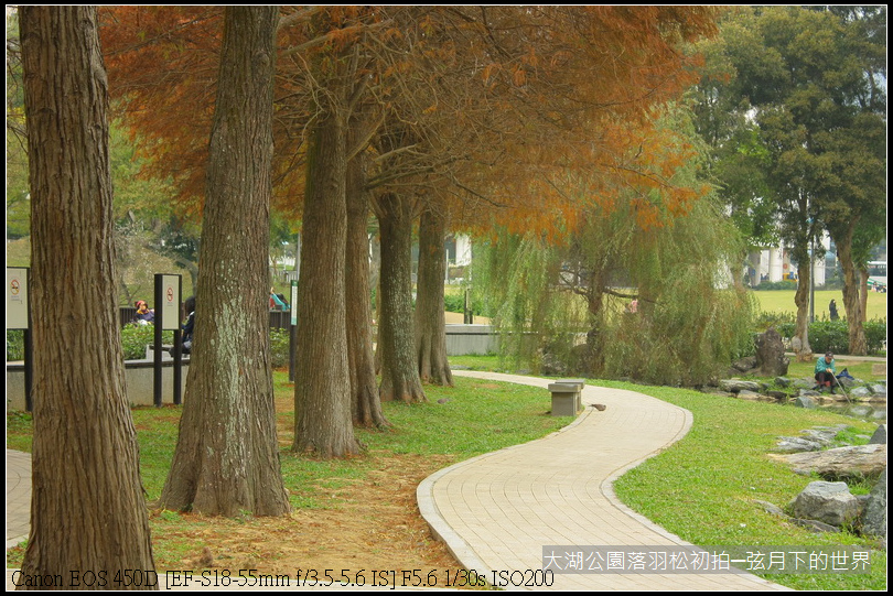 2015年1月5日大湖公園_17.JPG