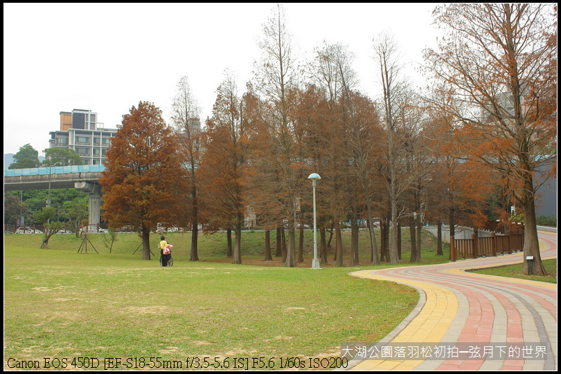 2015年1月5日大湖公園_19.JPG