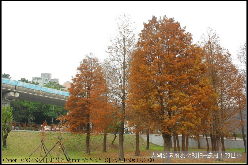 2015年1月5日大湖公園_20.JPG