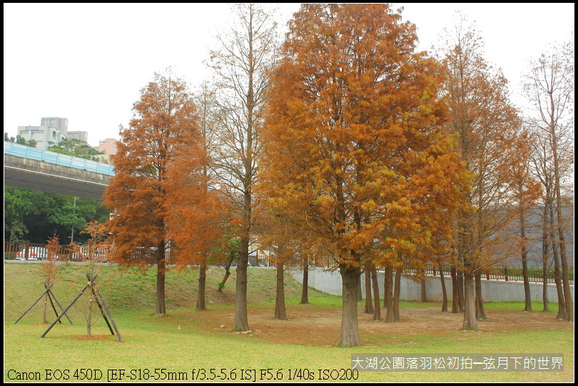 2015年1月5日大湖公園_21.JPG