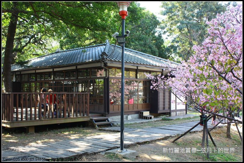 新竹~麗池公園賞櫻_01.JPG