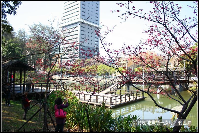 新竹~麗池公園賞櫻_18.JPG