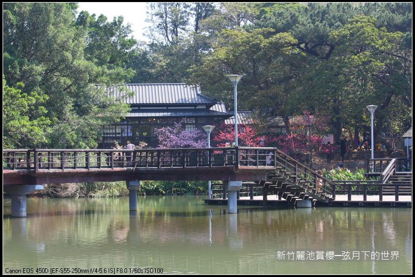 新竹~麗池公園賞櫻_29.JPG