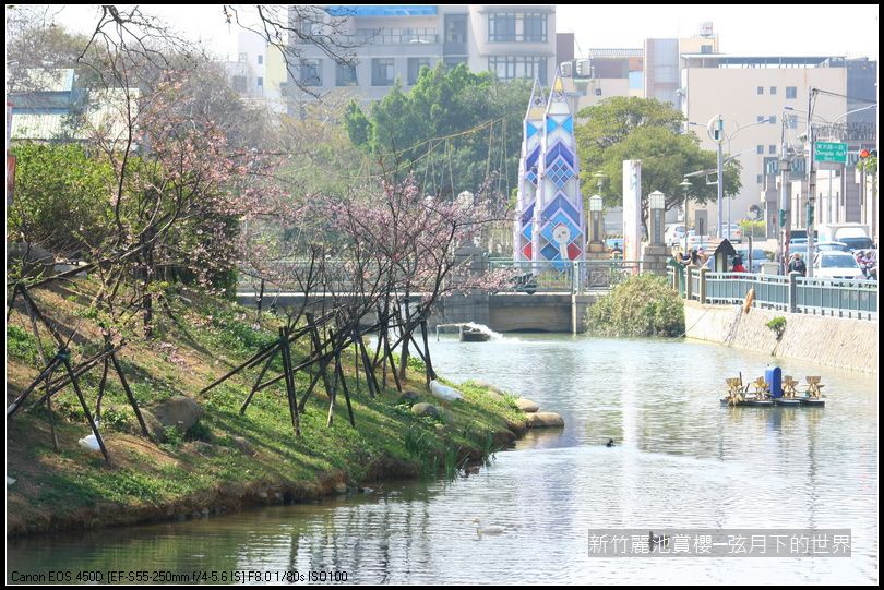 新竹~麗池公園賞櫻_28.JPG