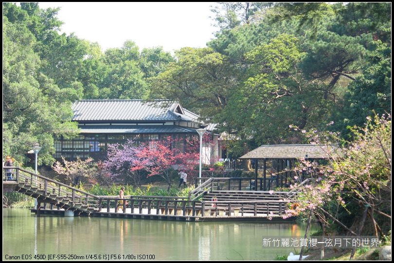 新竹~麗池公園賞櫻_30.JPG