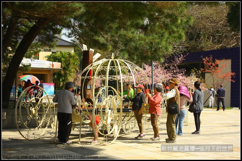 新竹~麗池公園賞櫻_34.JPG