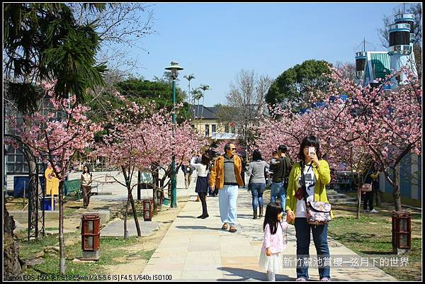 新竹~麗池公園賞櫻_39.JPG