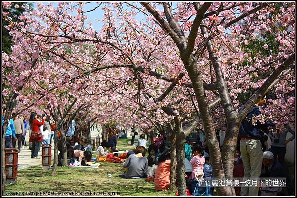新竹~麗池公園賞櫻_42.JPG