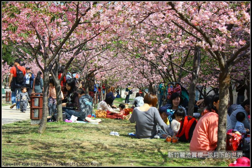 新竹~麗池公園賞櫻_43.JPG